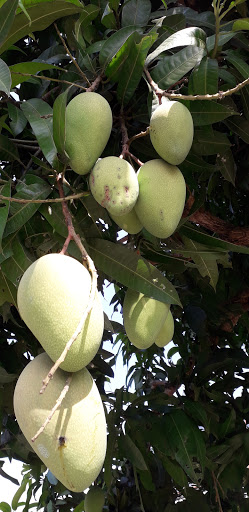 Top 20 cửa hàng thông minh Thị xã Bà Rịa Bà Rịa Vũng Tàu 2022