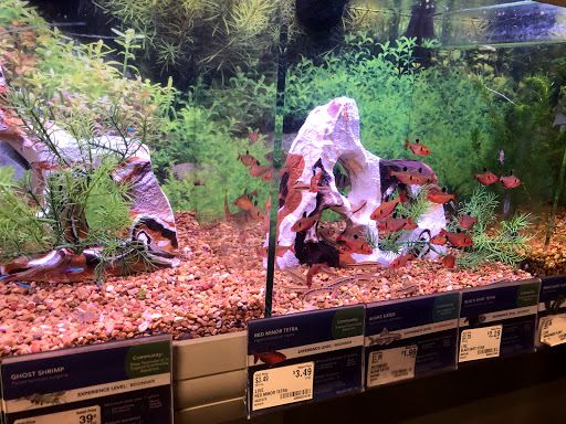 Pet Supply Store «PetSmart», reviews and photos, 540 New York Ave, Lyndhurst, NJ 07071, USA