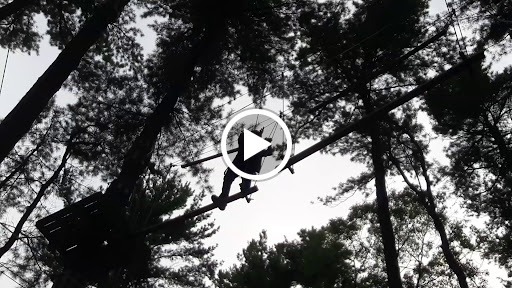 Park «TreeTop Adventures», reviews and photos, 200 New Boston Dr, Canton, MA 02021, USA