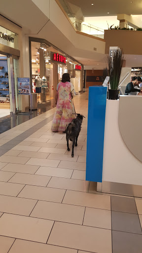 Shopping Mall «Santa Rosa Plaza», reviews and photos, 1071 Santa Rosa Plaza, Santa Rosa, CA 95401, USA