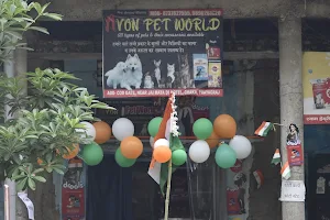 Avon pet world image