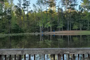 Clinton Nature Preserve image