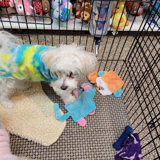 Pet Supply Store «Pet Ranch», reviews and photos, 3823 E 120th Ave, Denver, CO 80233, USA