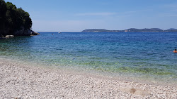 Photo de Vrbica beach zone sauvage