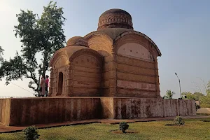 Raj Bari Palace image
