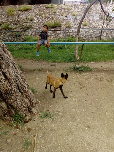 Parque Canino Circunvalación Y Enrique Diaz De Leon