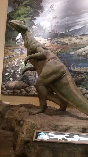 Nature Preserve «Fernbank Forest», reviews and photos, 767 Clifton Rd, Atlanta, GA 30307, USA