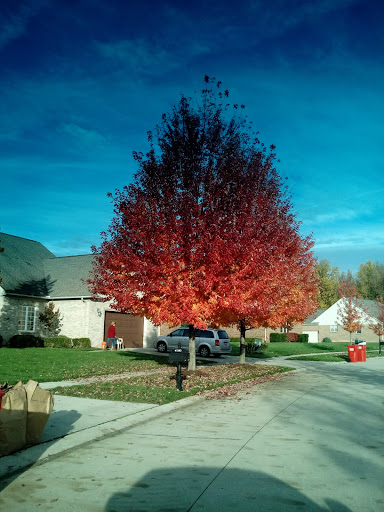 Banquet Hall «Burning Tree Golf & Country Club», reviews and photos, 22871 21 Mile Rd, Macomb, MI 48044, USA