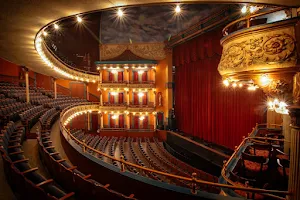 The Grand Opera House image