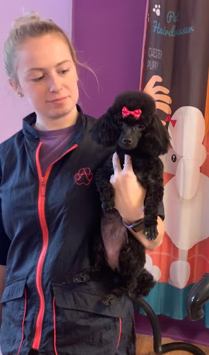 Pet Store «Pet Village», reviews and photos, 5610 Old York Rd, Rock Hill, SC 29732, USA