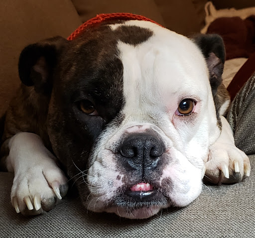 418 S Beavercreek Rd, Oregon City, OR 97045, USA