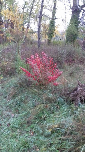 Δάσος Άργος Ορεστικό - Ένωση