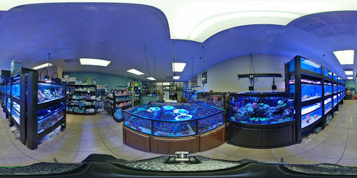 Pet Supply Store «Sea Level Aquarium», reviews and photos, 28 US-46, Pine Brook, NJ 07058, USA