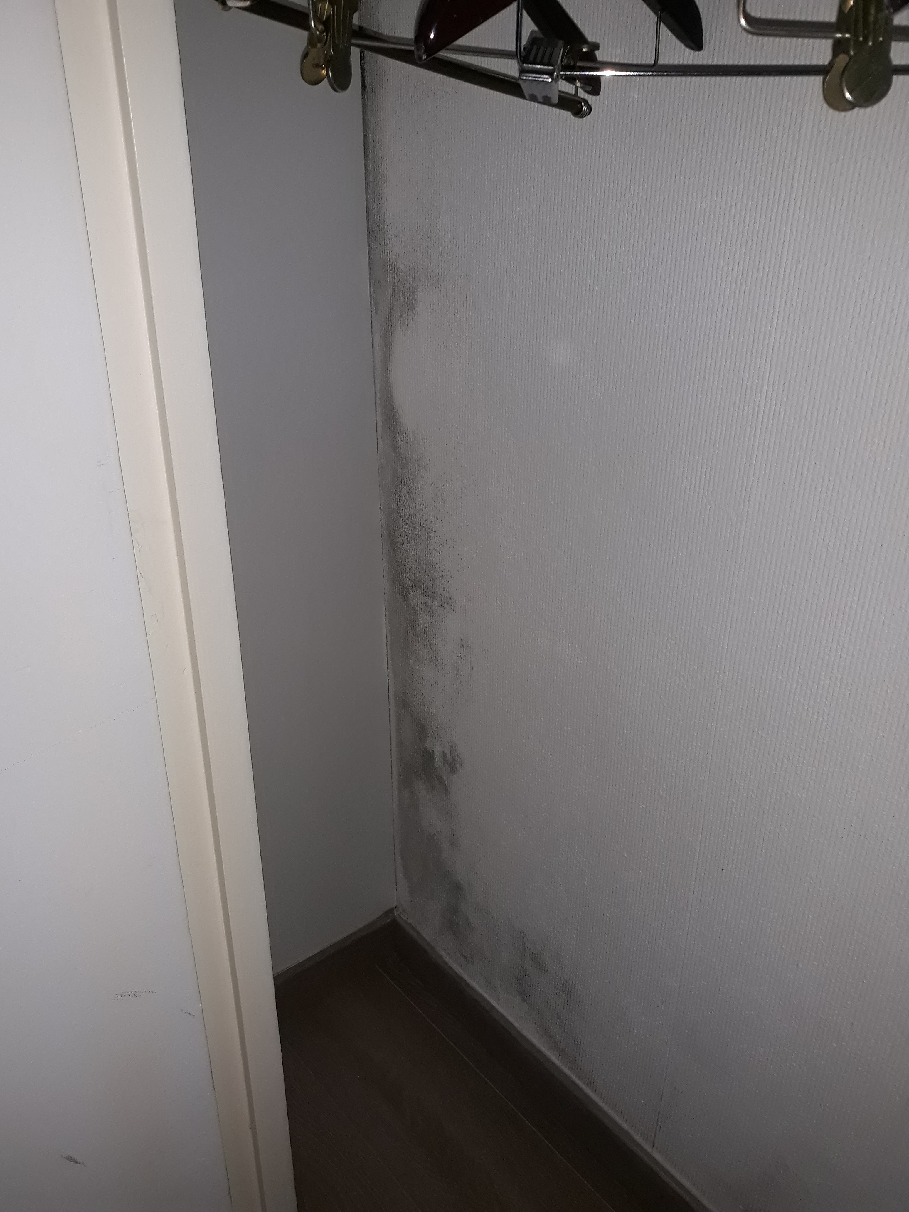 Photo n° 1 de l'avis de Dimi.e fait le 31/01/2019 à 06:00