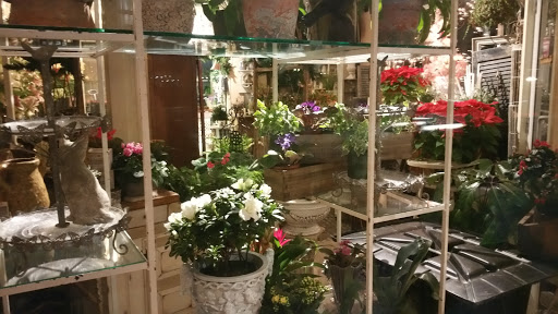 Florist «Buss Flower Shop», reviews and photos, 322 N Milwaukee Ave, Libertyville, IL 60048, USA