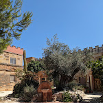 Photo n°6 de l'avis de Piero.l fait le 19/07/2023 à 09:29 sur le  Tenute Al Bano à Cellino San Marco