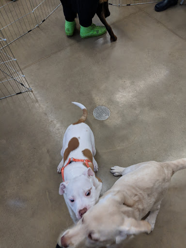 Pet Supply Store «Petco Animal Supplies», reviews and photos, 28400 Dequindre Rd, Warren, MI 48092, USA