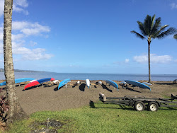 Hilo Bayfront Beach'in fotoğrafı biraz temiz temizlik seviyesi ile