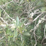 Photo n°8 de l'avis de Kate.h fait le 06/11/2017 à 18:26 sur le  Rabaçal Nature Spot Cafe à 