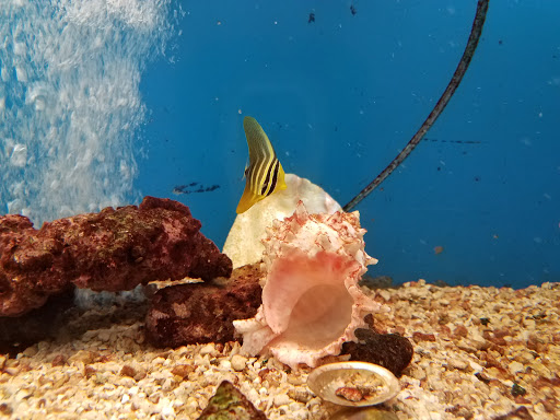 Pet Store «Pet World Warehouse Outlet», reviews and photos, 2984 S 108th St, Milwaukee, WI 53227, USA