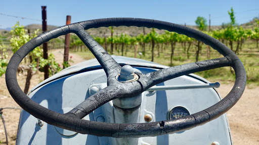 Vineyard «Alcantara Vineyards and Winery», reviews and photos, 3445 South Grapevine Way, Cottonwood, AZ 86326, USA