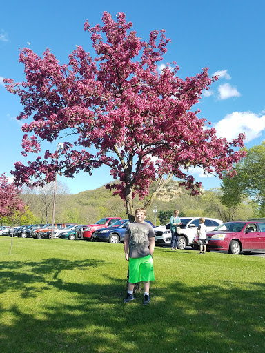 Golf Course «Forest Hills Public Golf», reviews and photos, 600 Losey Blvd N, La Crosse, WI 54601, USA