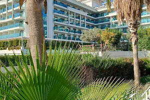 Hotel Royal Paradise image
