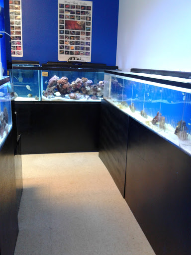 Pet Store «Aqua-Holics», reviews and photos, 2154 Central Florida Pkwy, Orlando, FL 32837, USA