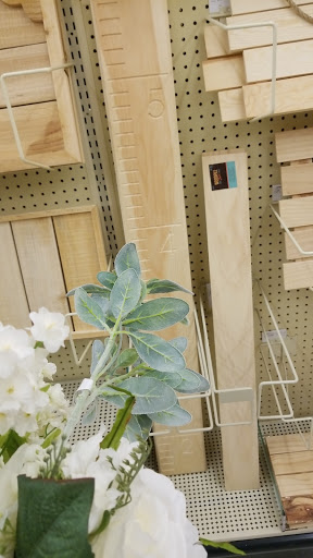 Craft Store «Hobby Lobby», reviews and photos, 4236 US-98, Lakeland, FL 33809, USA