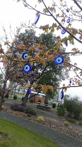 Tourist Attraction «Old Faithful Geyser of California», reviews and photos, 1299 Tubbs Ln, Calistoga, CA 94515, USA