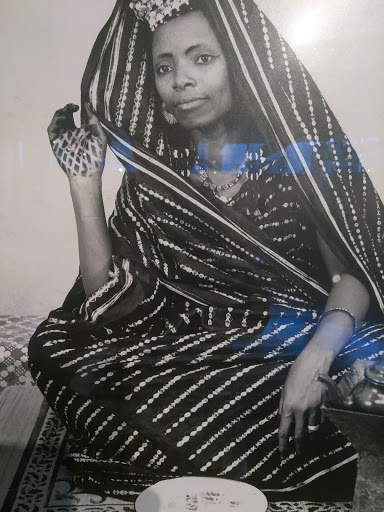 Museum «Houston Museum-African American Culture», reviews and photos, 4807 Caroline St, Houston, TX 77004, USA