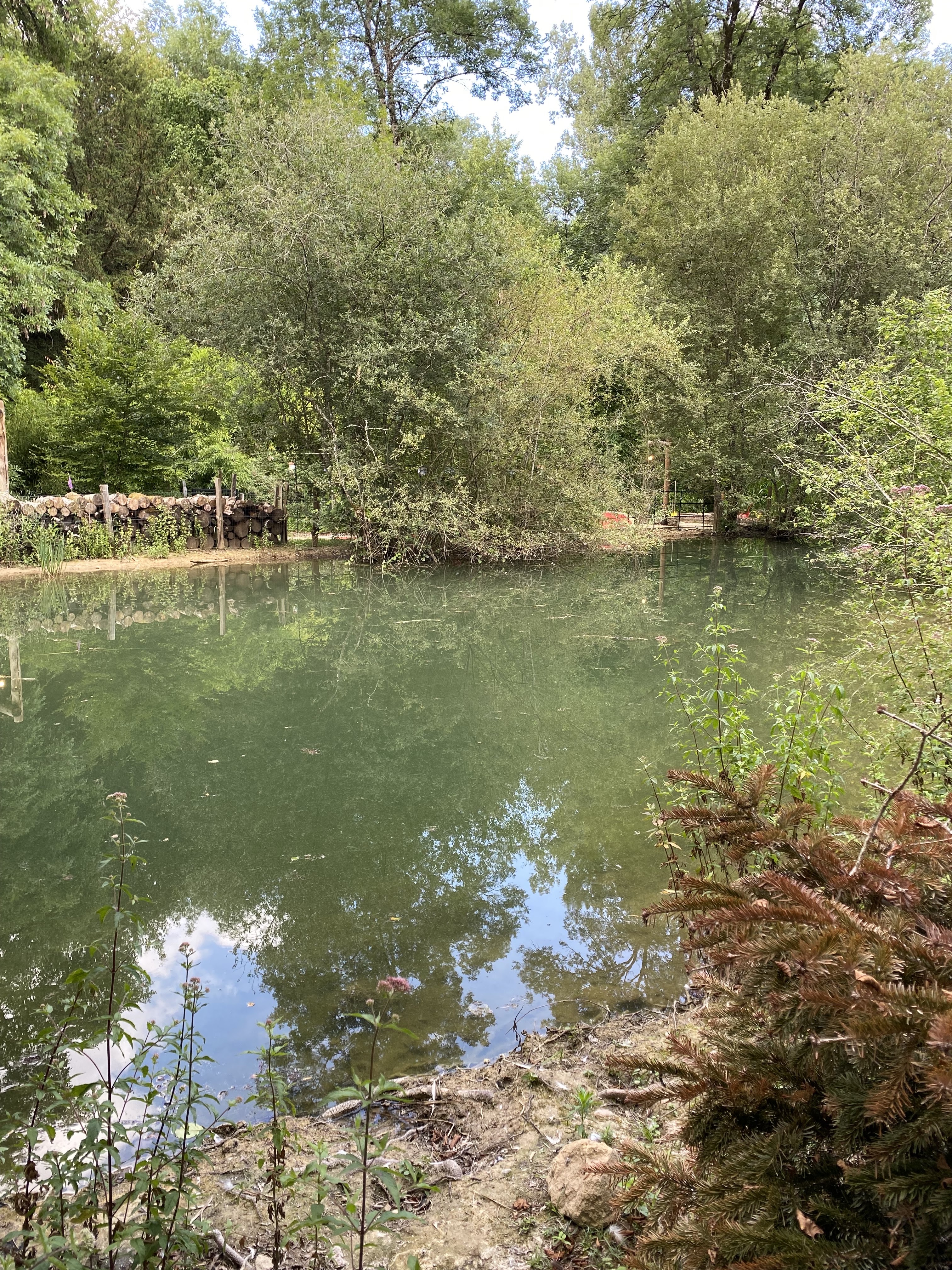 Photo n° 5 de l'avis de Fabou.e fait le 28/07/2021 à 16:34