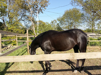 Alkuzu Binicilik Okulu (Giriş için lütfen randevu alın)