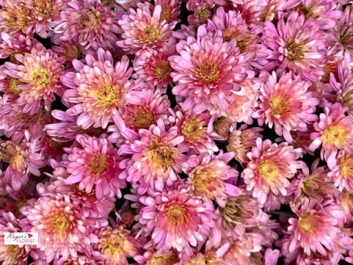 Florist «Rogers Florist», reviews and photos, 221 S Main St, Alpharetta, GA 30004, USA