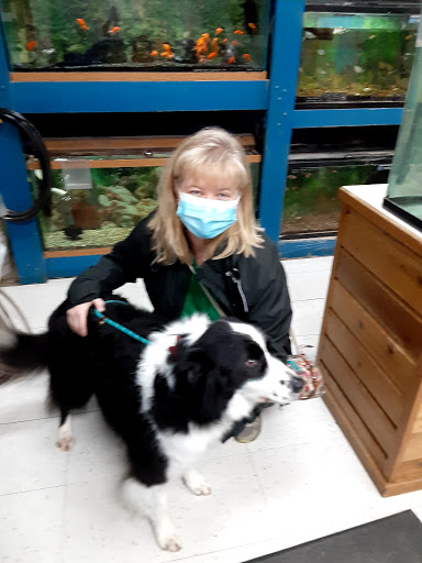 Pet Groomer «B-I-S Pet Grooming», reviews and photos, 5670 Main St, Springfield, OR 97478, USA