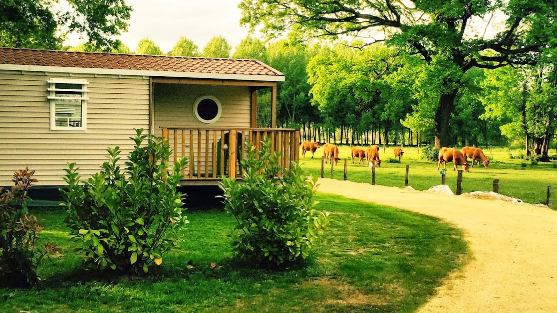 Camping au fil de l'eau Dordogne Périgord Piscine Rivière à Antonne-et-Trigonant (Dordogne 24)