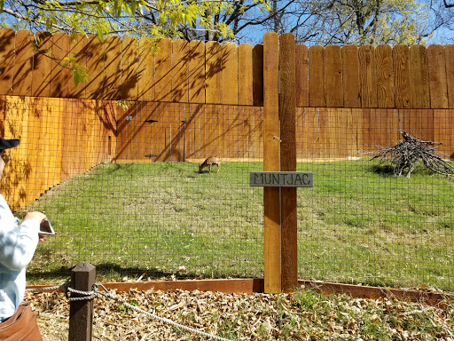 Zoo «Frank Buck Zoo», reviews and photos, 1000 W California St, Gainesville, TX 76240, USA