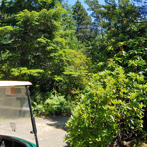 Golf Course «Ocean Dunes Golf Links», reviews and photos, 3345 Munsel Lake Rd, Florence, OR 97439, USA