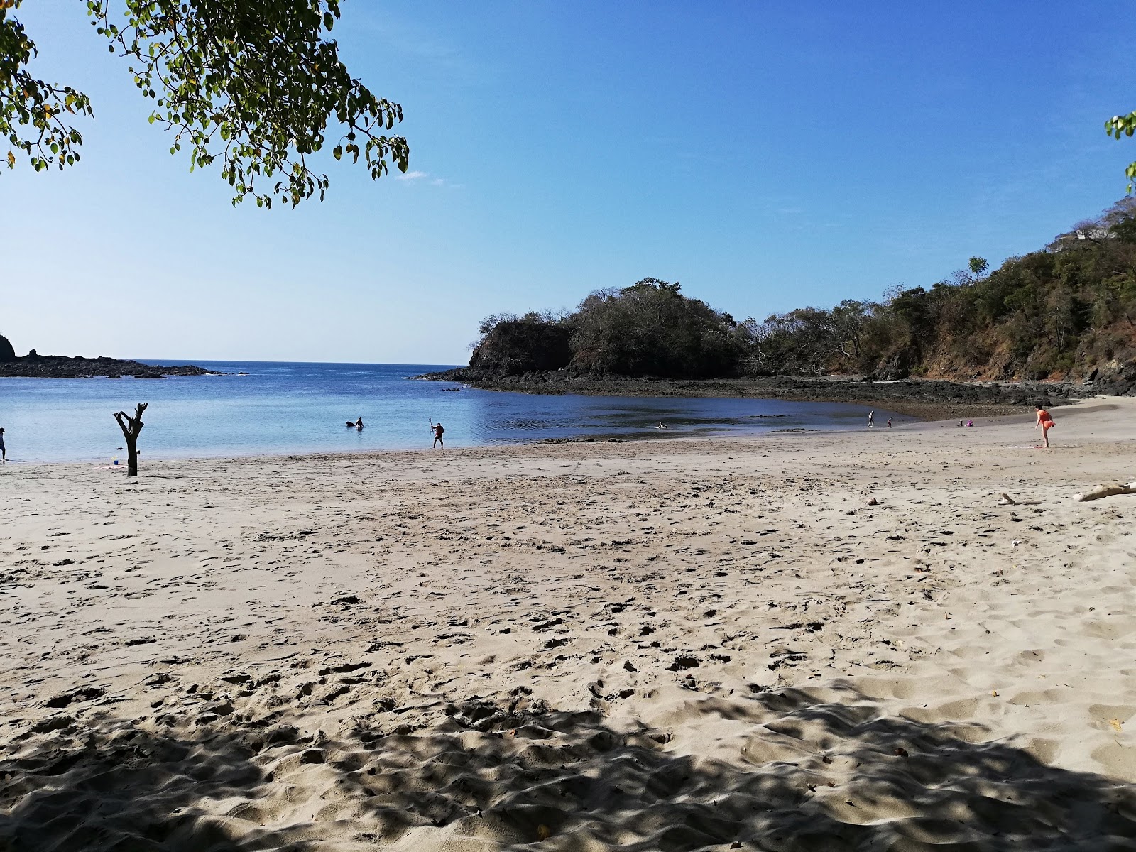 Foto de Achotines Beach localizado em área natural