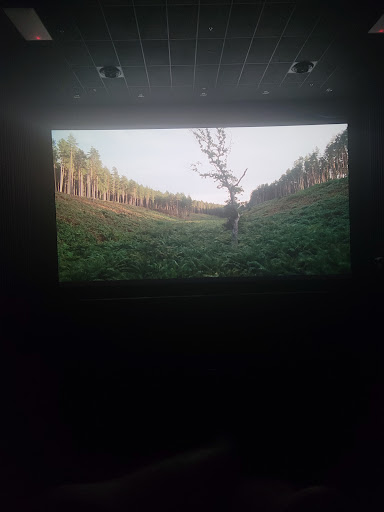 Movie Theater «Cinemark Tinseltown USA and IMAX», reviews and photos, 2291 Buffalo Rd, Rochester, NY 14624, USA