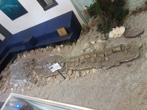 Museum «Phosphate Museum», reviews and photos, 101 SE 1st St, Mulberry, FL 33860, USA