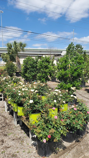 Plant Nursery «HOUSTON PLANTS & GARDEN WORLD», reviews and photos, 16726 North Fwy, Houston, TX 77090, USA