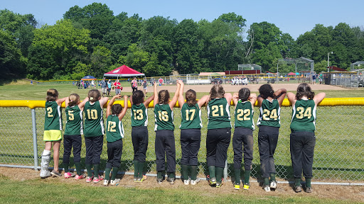 Historical Landmark «Mabel Hartzell Home», reviews and photos, 840 N Park Ave, Alliance, OH 44601, USA