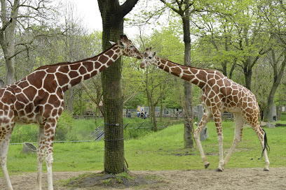 Brookfield Zoo


