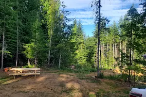 Forbidden Plateau Mountain Resort and Campground image