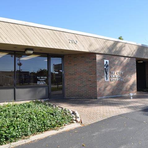 790 Summit St, Elgin, IL 60120, USA