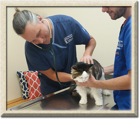 Animal Hospital «Veterinary Care of Ithaca», reviews and photos, 712 W Court St, Ithaca, NY 14850, USA