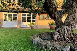 Villa Maria di Bandecchi Simone image