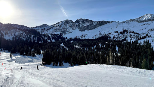 Alta Alps Chalet - Utah Ski Cabin