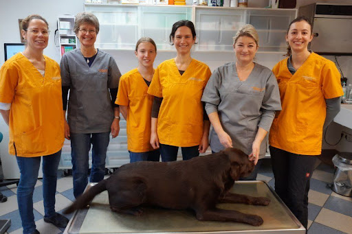 Kleintierpraxis Dr. Sylvia Lahr unter Moosburg, Bayern